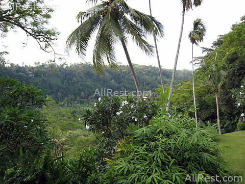 Amandari Ubud resort 25